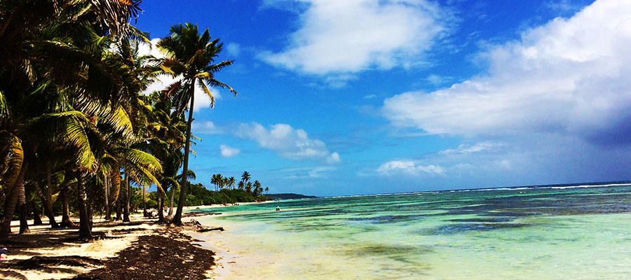 Carnet n°1 : La Guadeloupe, rhum, plages et forêt tropicale
