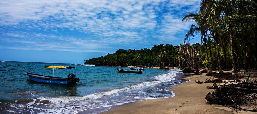 La côte caraïbes du Costa Rica : Puerto Viejo, Cahuita et Manzanillo