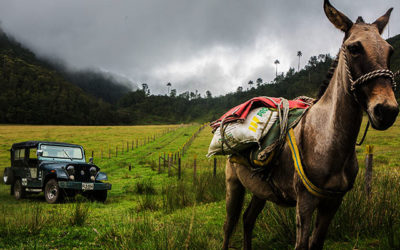 Colombie : Salento, un autre regard sur la région du café