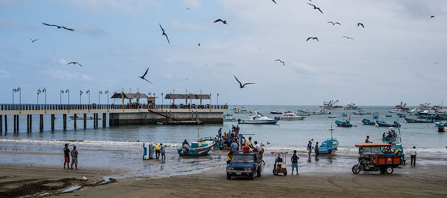Carnet n°17 – Puerto Lopez : Baleines, quiétude et bonne bouffe