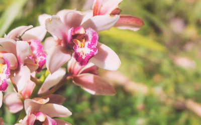Le voyage, la photo et moi : un défi-photo pour se dépasser, s’inspirer et s’améliorer