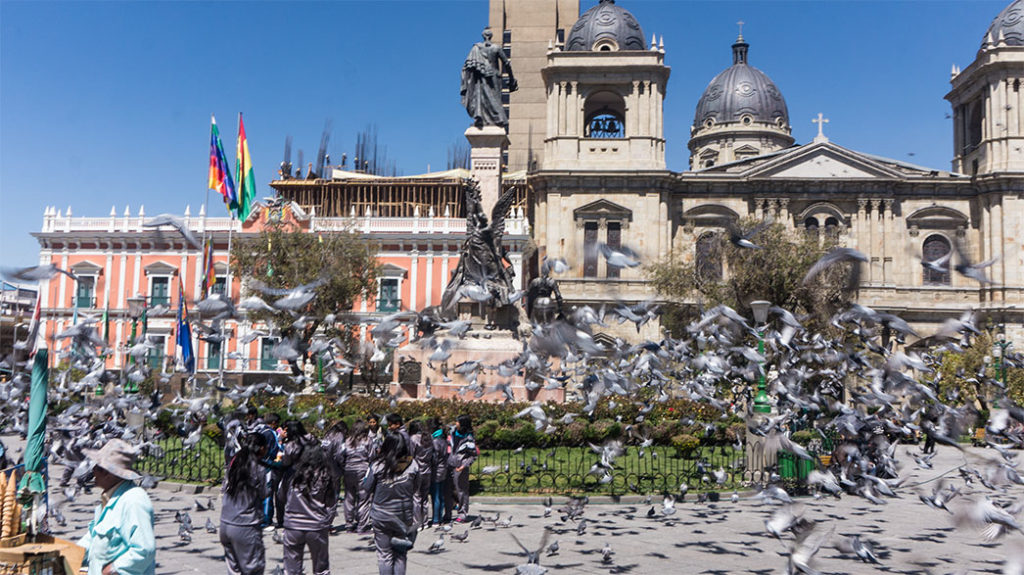 Défii-photo n°3 : nuée de pigeons au dessus de nos têtes sur la place Murillo, La Paz, Bolivie
