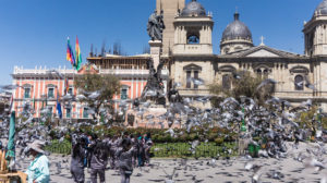 nuée de pigeons sur la place Murillo, La Paz, Bolivie