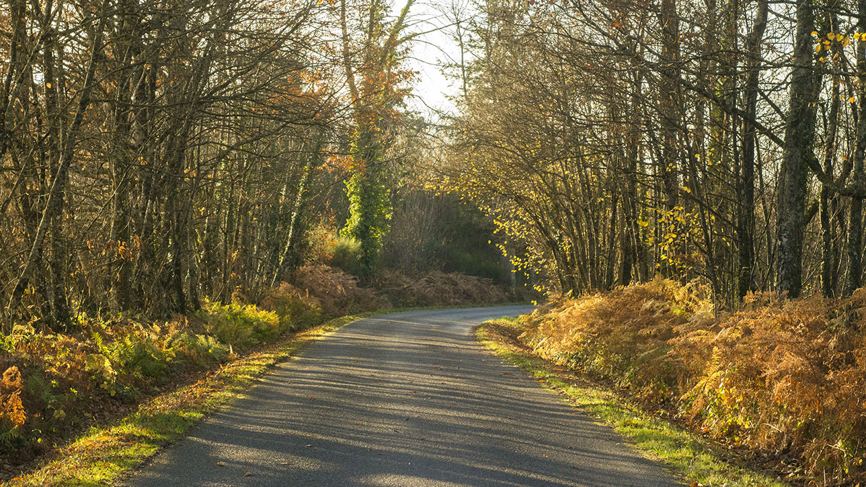route Limousin automne