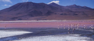 Salar de Uyuni laguna colorada