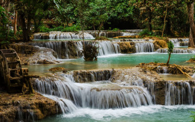Luang Prabang : cascades de Kuang Si, jardin botanique et flânerie