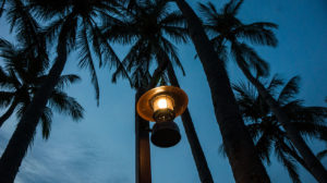 lampions palmiers sur langkawi
